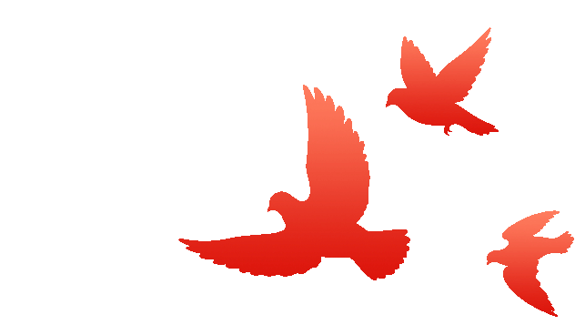 1758293570868639.gif 919-3-4.gif