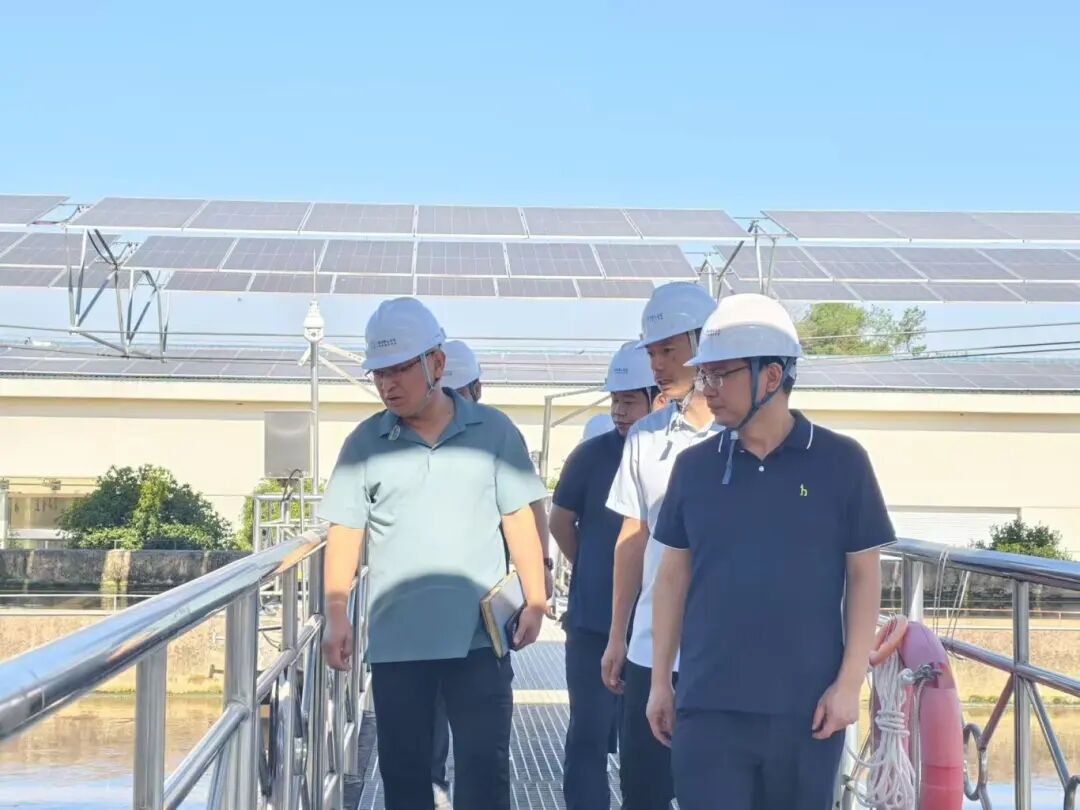 1760233035837484.jpg 1012-5-3.jpg