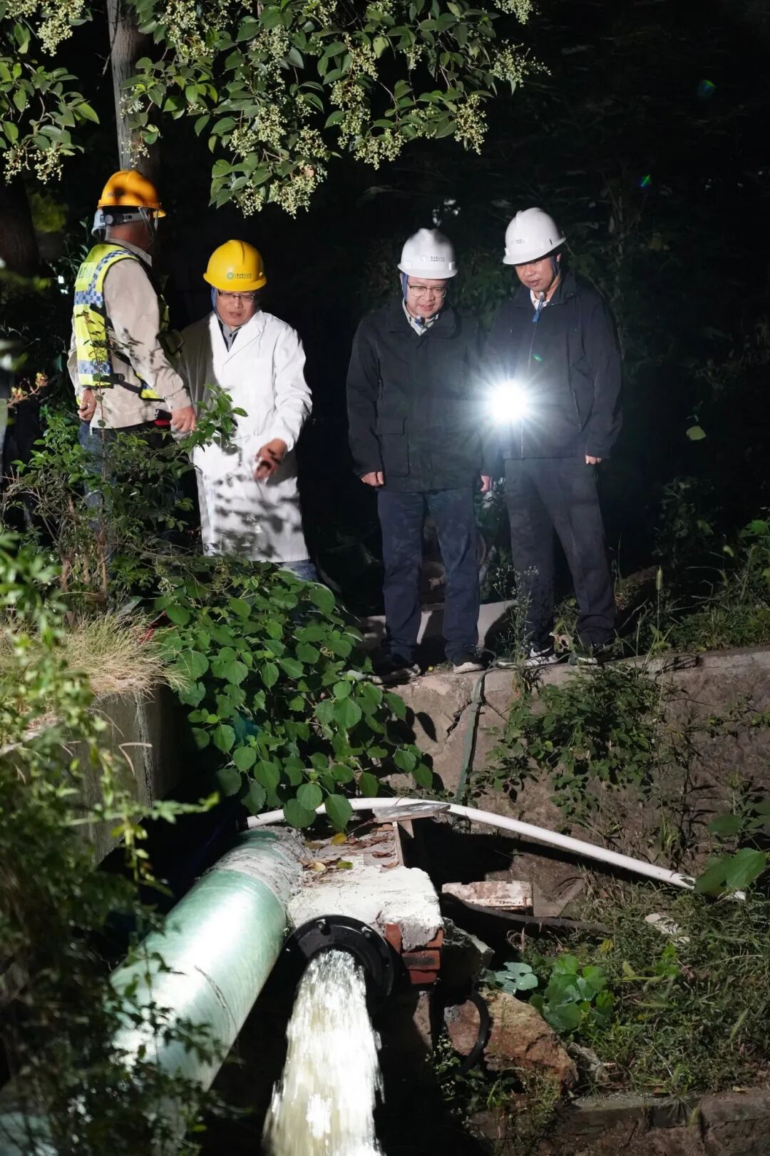 1761907004955391.jpg 1031-6-5.jpg