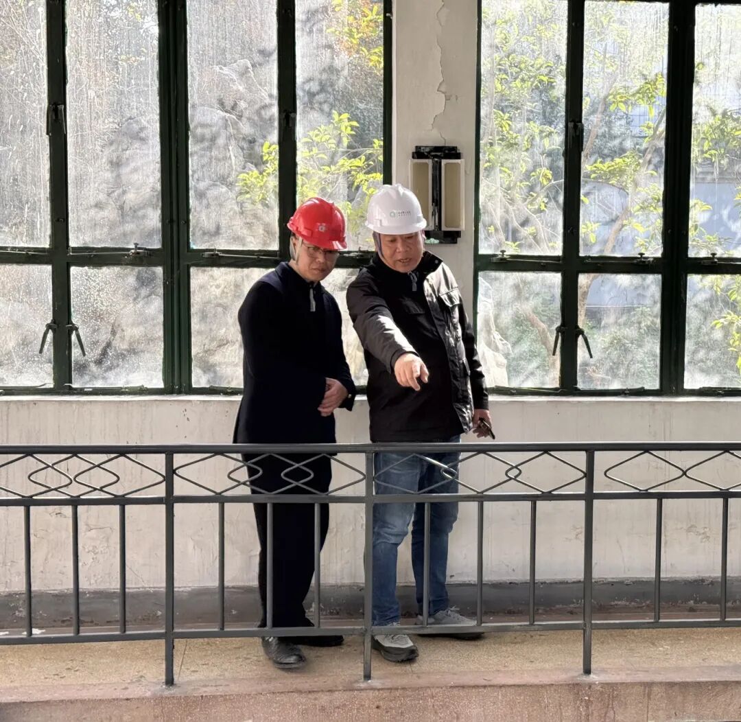 1764383933711374.jpg 1128-4-4.jpg