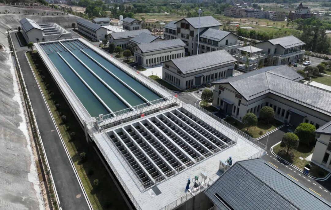 1764384836930767.jpg 1128-8-1.jpg