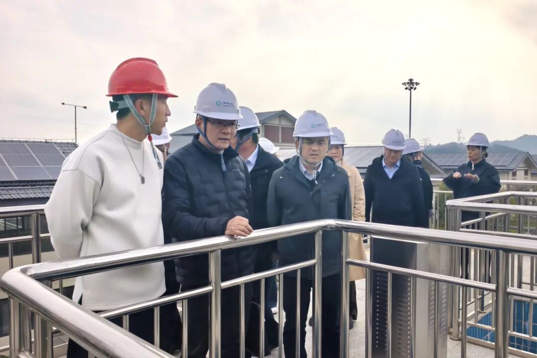 1764932599450249.jpg 1205-4-6.jpg