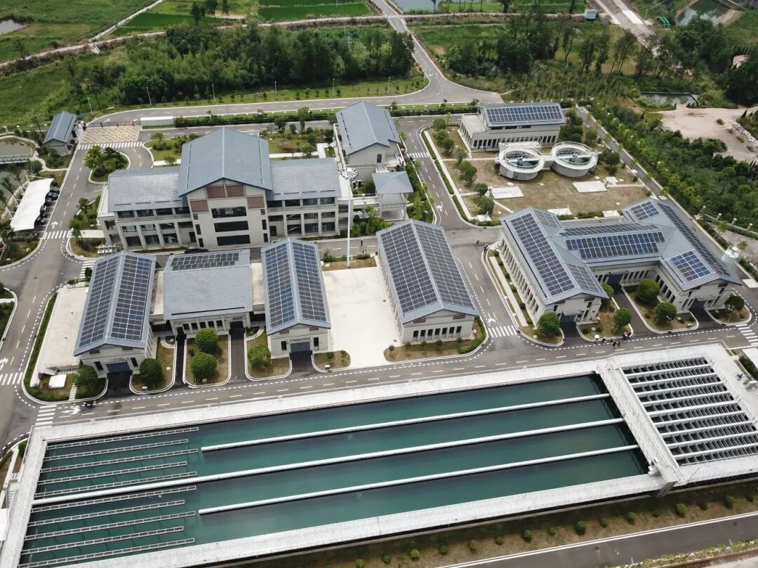 1767171017190659.jpg 1231-5-2.jpg