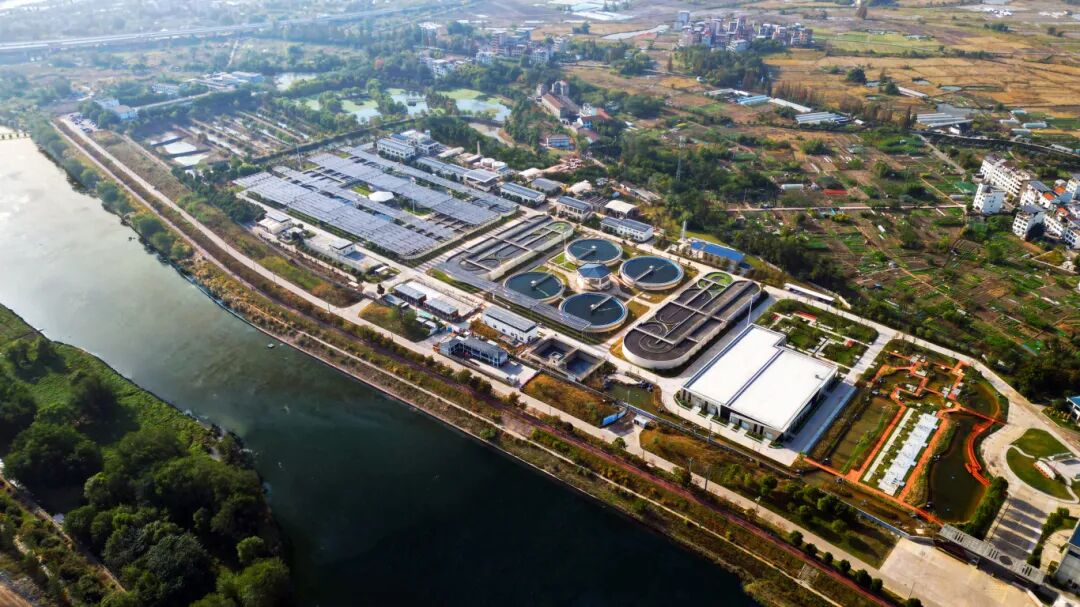 1767171132740019.jpg 1231-6-2.jpg