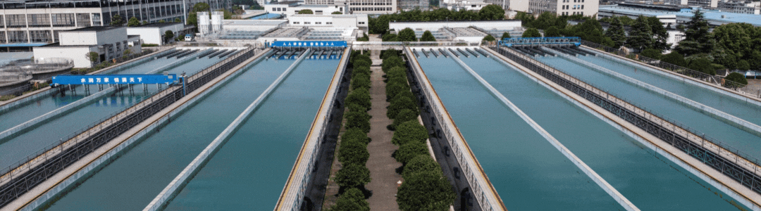 1768647649442151.gif 0116-6-1.gif