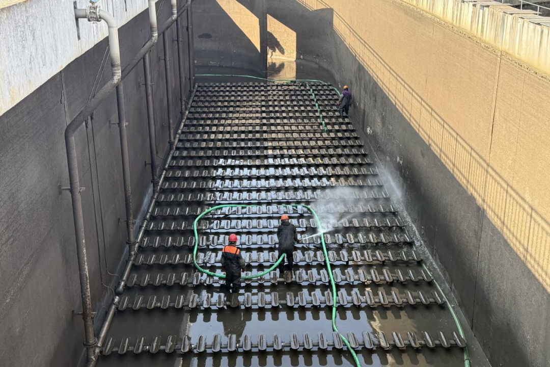 1769229189858461.png 0123-6-2.png