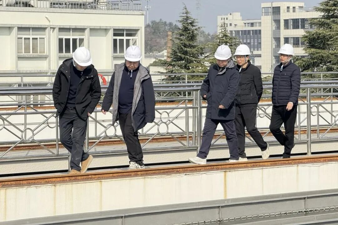 1770431057514146.jpg 0206-5-3.jpg