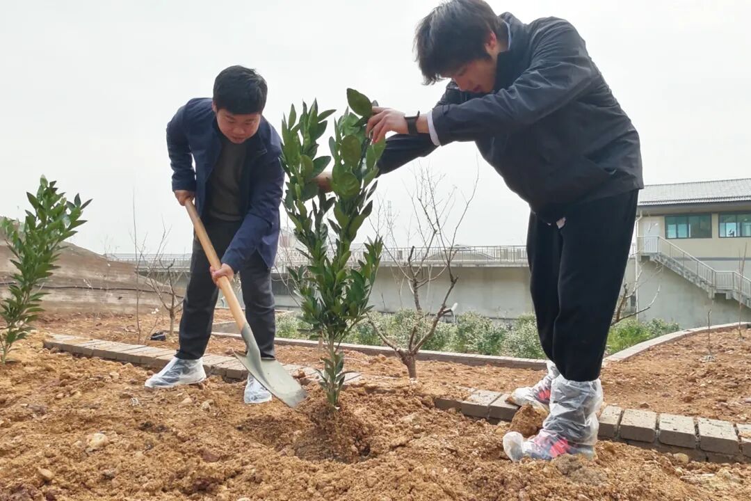 1772849838592597.jpg 0306-4-3.jpg