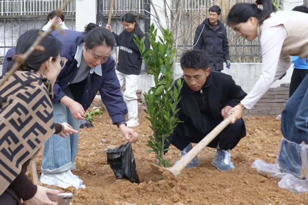 1772849856918440.jpg 0306-4-5.jpg