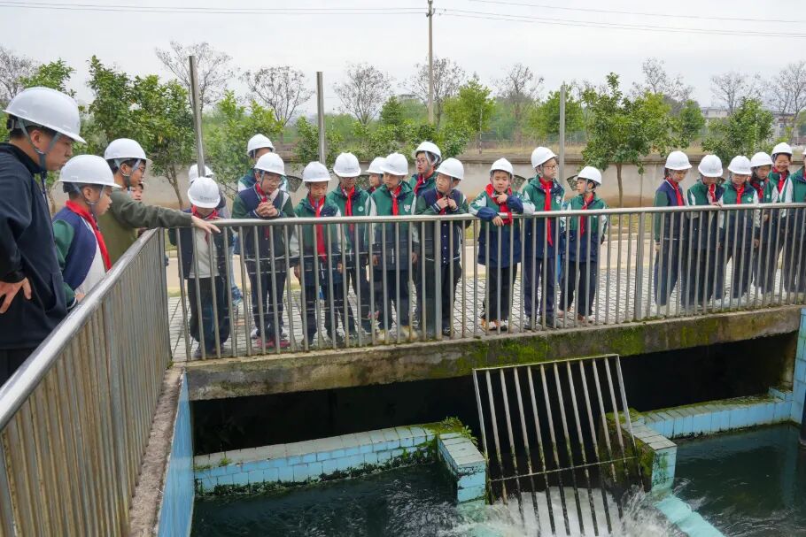 1774963779813750.jpg 331-4-6.jpg