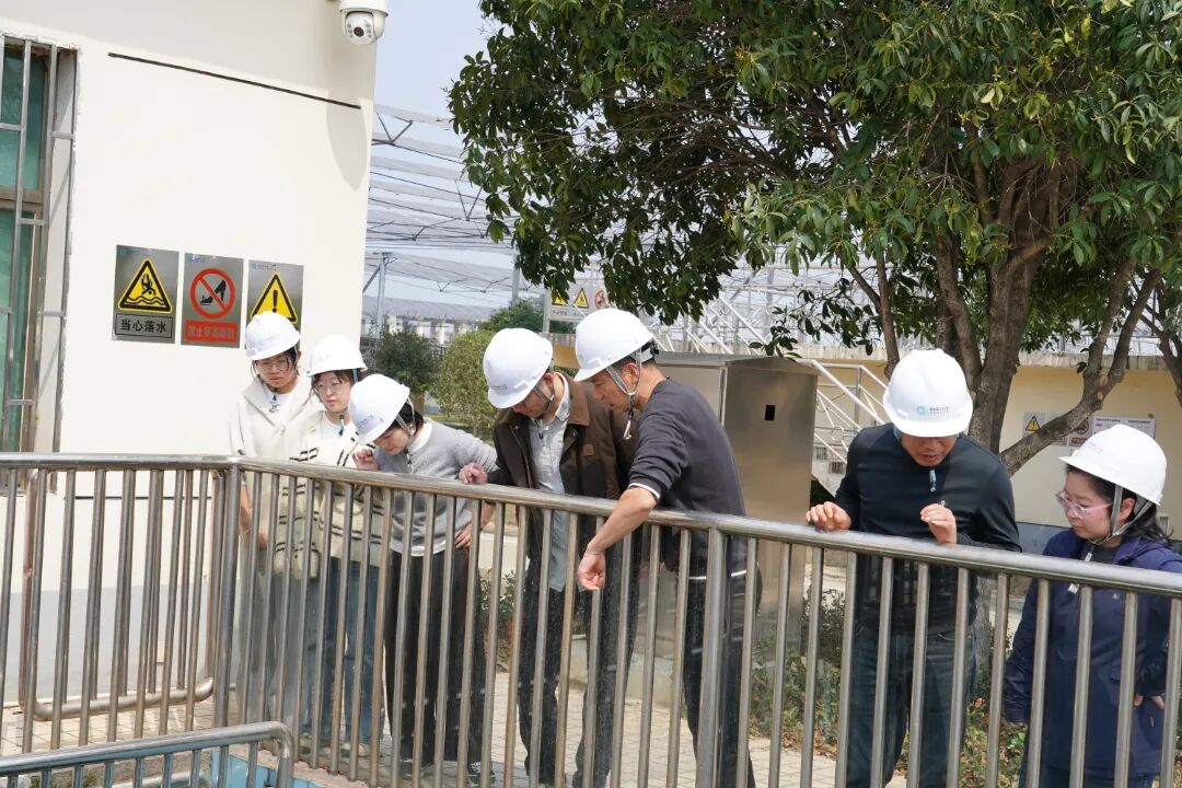 1774963802159434.jpg 331-4-8.jpg