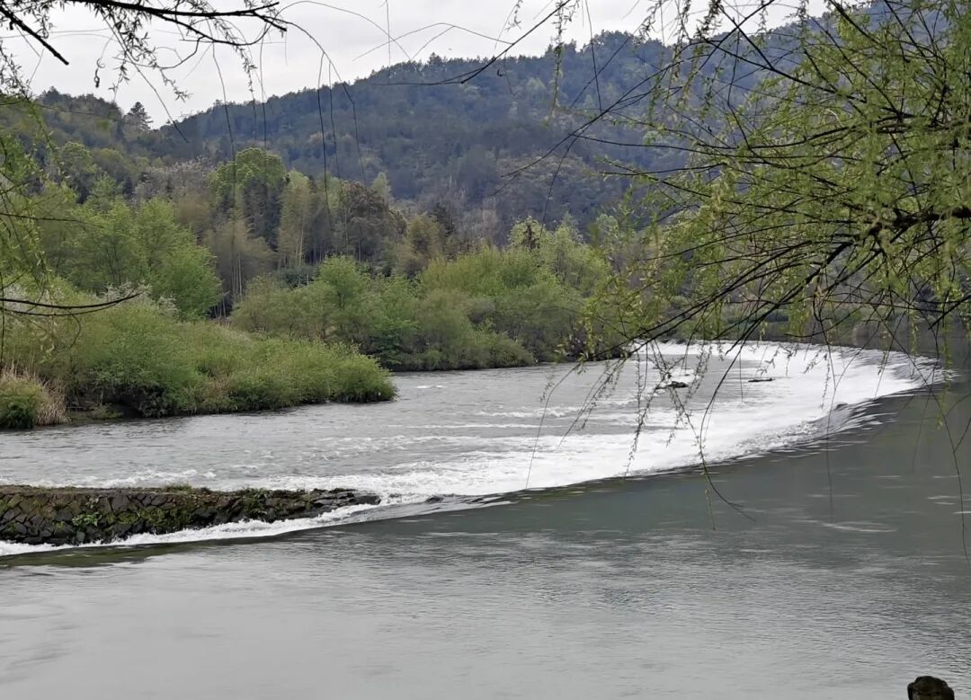 1775631596143991.jpg 403-4-4.jpg