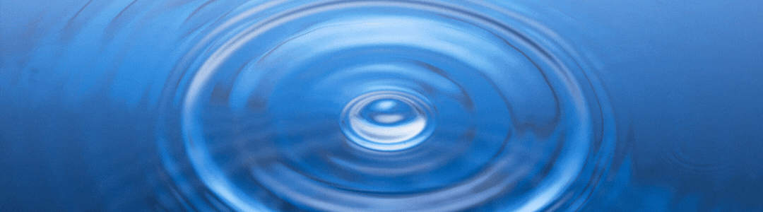 1777858707388259.gif 504-6-1.gif